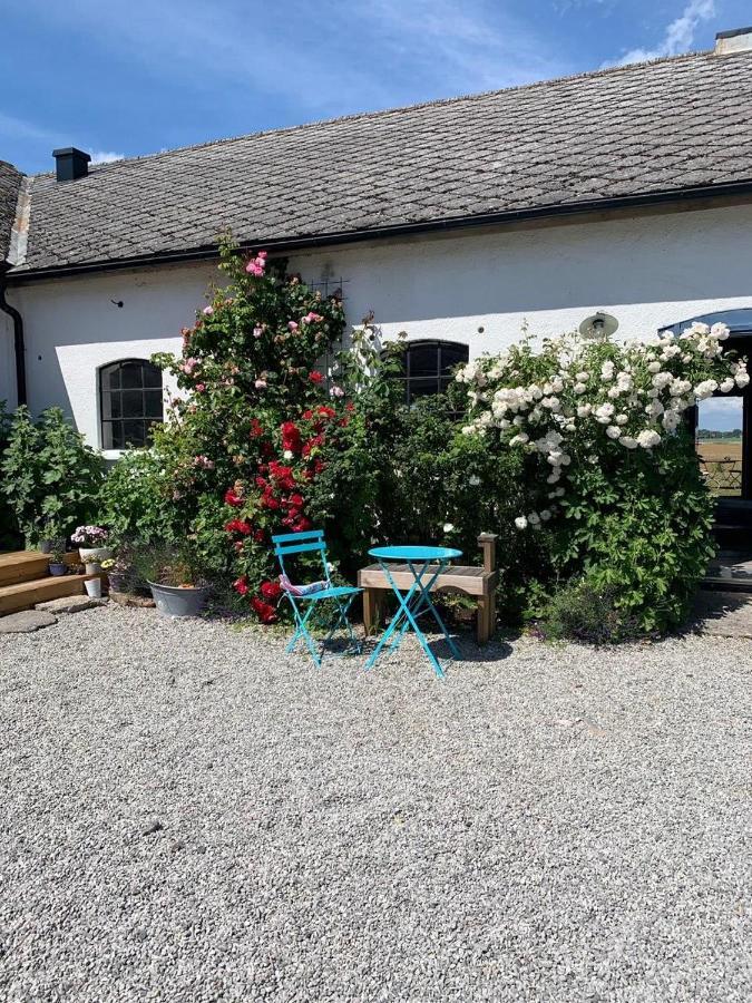 Raevakra B&B Hammenhog Exterior photo