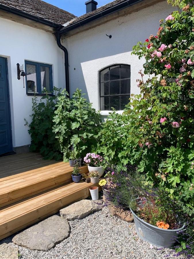 Raevakra B&B Hammenhog Exterior photo