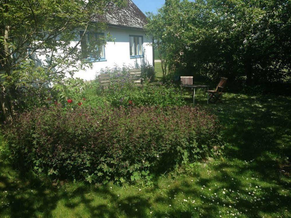 Raevakra B&B Hammenhog Exterior photo